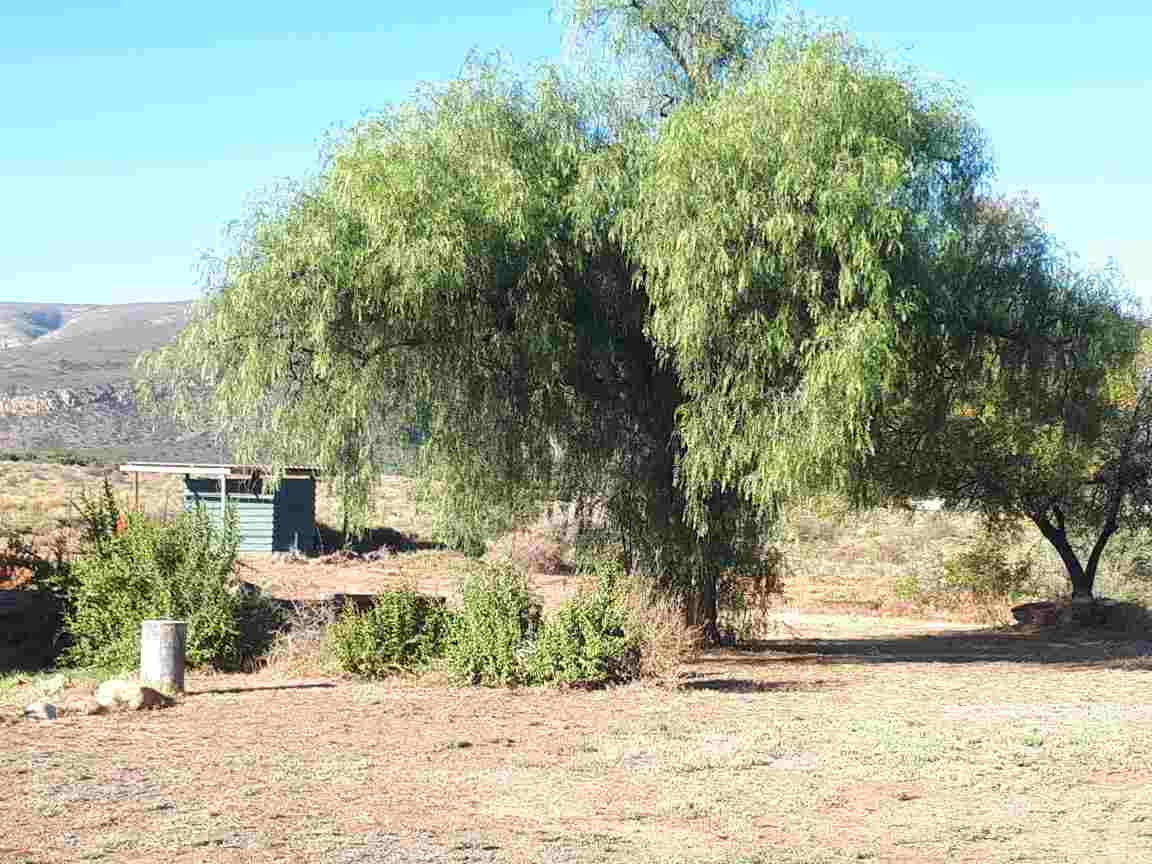 Cottage & Camping Klein Karoo Valley Guest Farm Cottage
